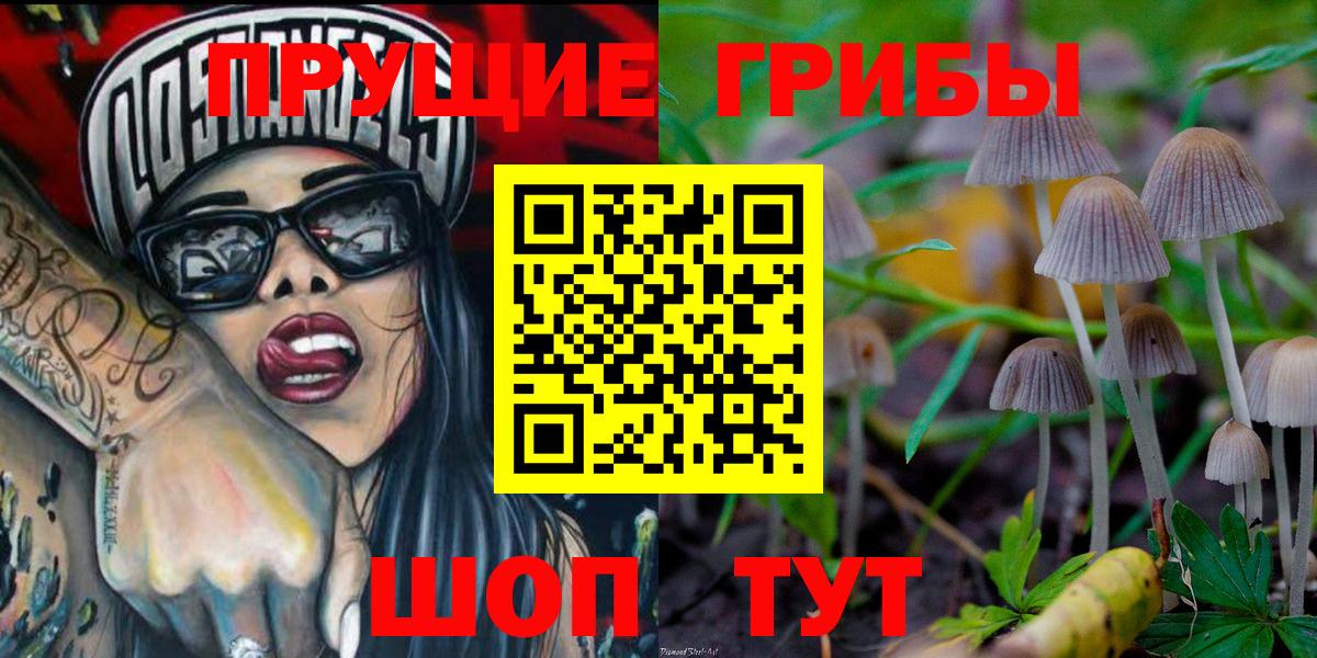 где купить   Галлюциногенные грибы ЛСД  Сердобск  Вход с VPN  Псилоцибиновые грибы ЛСД 