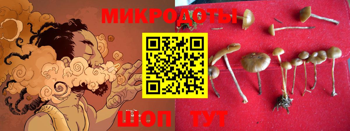 Галлюциногенные грибы Psilocybine cubensis Сердобск